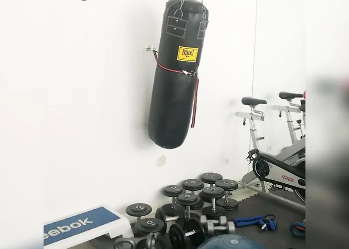 Jardins Da 帕雷迪